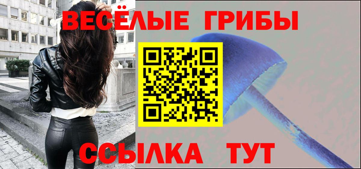 Елабуга  Псилоцибиновые грибы Magic Shrooms  Вход с VPN 