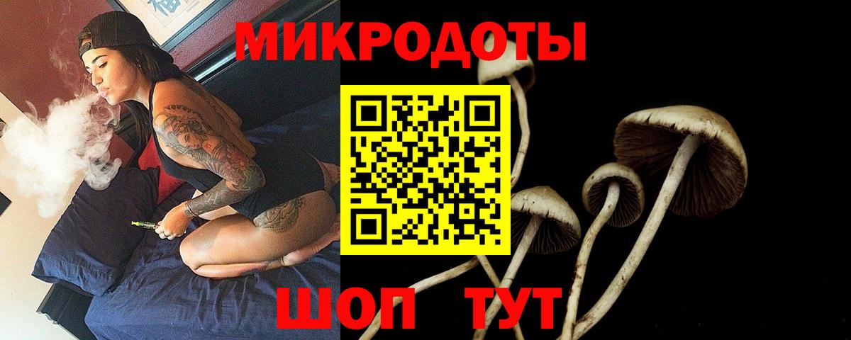 Псилоцибиновые грибы Cubensis Елабуга